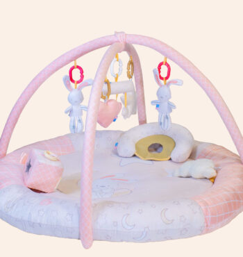 تشک بازی نوزاد رزبرن Dreamer Daisy Rose Born