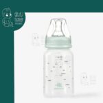 شیشه شیر طلقی 120 میل سبز مدل Savanna کیکابو Kikkaboo