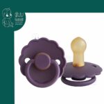 کالای جدید پستانک 0-6 طرح گل فریگ Frigg