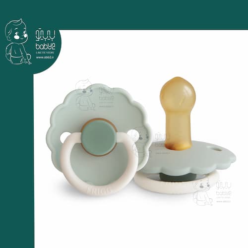 پستانک 6+ طرح گل لاتکس فریگ Frigg