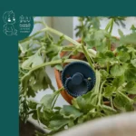 پستانک 0-6 طرح بافت لاتکس فریگ Frigg - Image 12