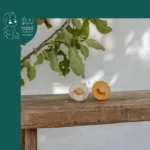 پستانک 0-6 طرح گل لاتکس فریگ Frigg - Image 19