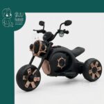 موتور شارژی هارلی 1680 - 104211